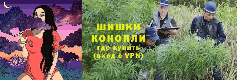 продажа наркотиков  Канаш  Каннабис Ganja 